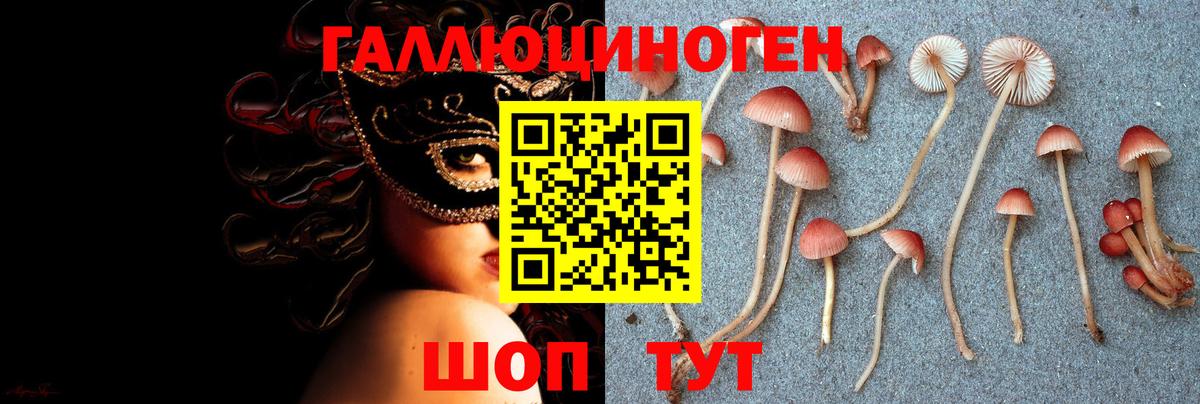 Галлюциногенные грибы мухоморы Златоуст