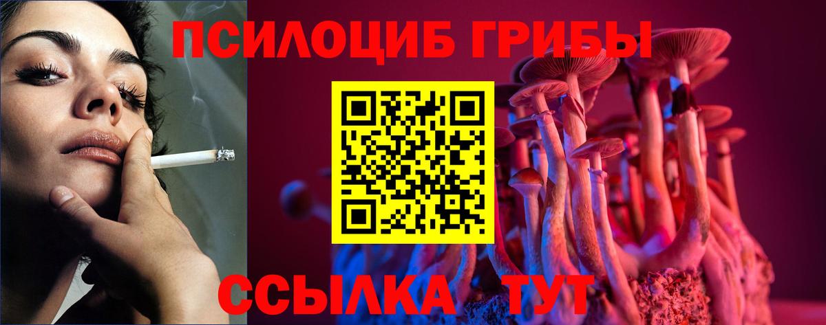 Псилоцибиновые грибы Psilocybine cubensis  Вход с VPN  Златоуст 
